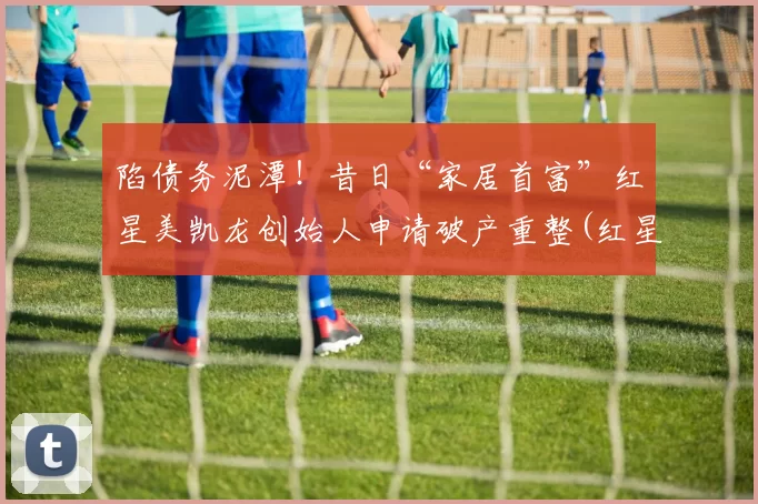 陷债务泥潭！昔日“家居首富”红星美凯龙创始人申请破产重整(红星美凯龙老板哪里人)